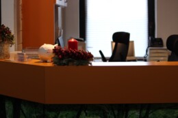 IMG_0486